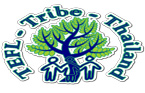 TEFL Tribe